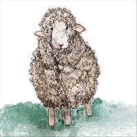 Psalm 23: The Song of the Shepherd